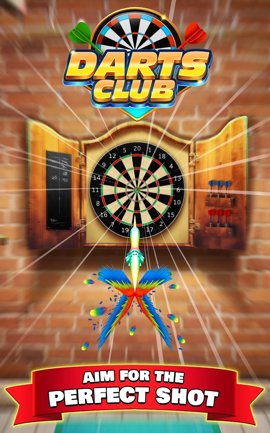 Darts Club Equipment Collection